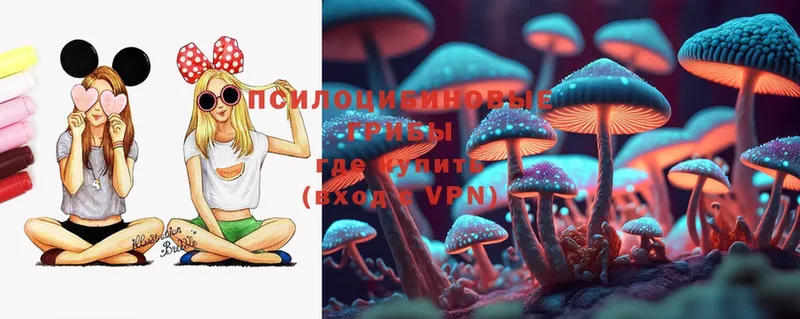 Галлюциногенные грибы Psilocybe  кракен сайт  Миллерово 